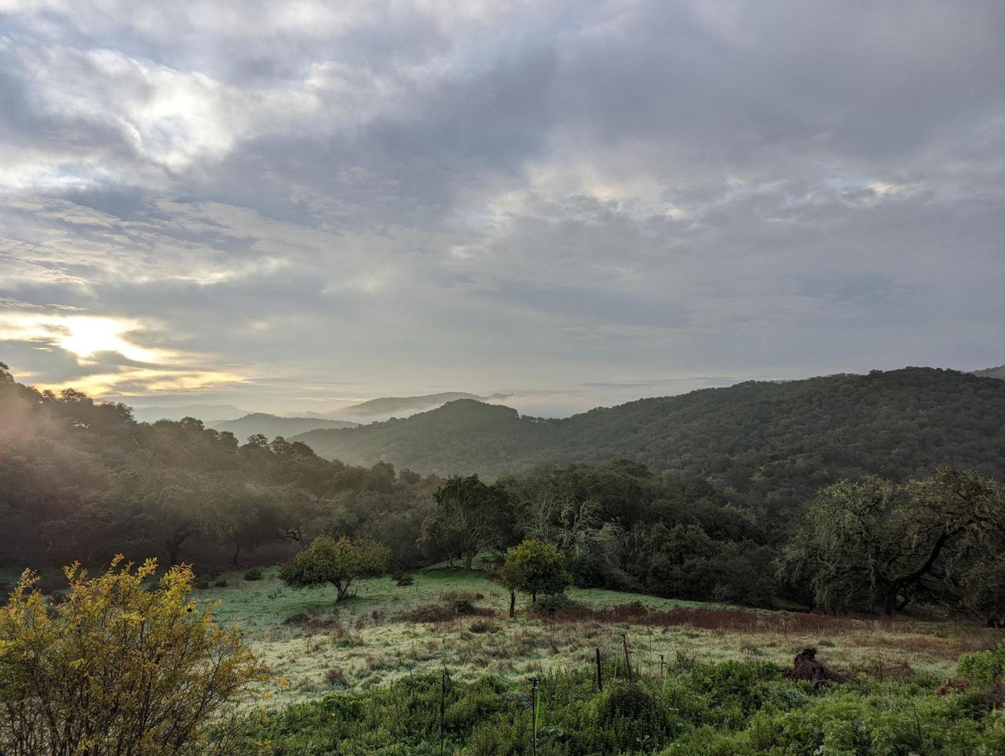 Finca Bravo Кортегана Экстерьер фото