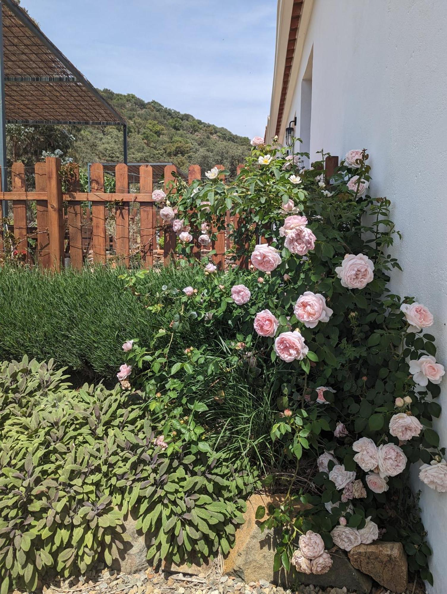 Finca Bravo Кортегана Экстерьер фото